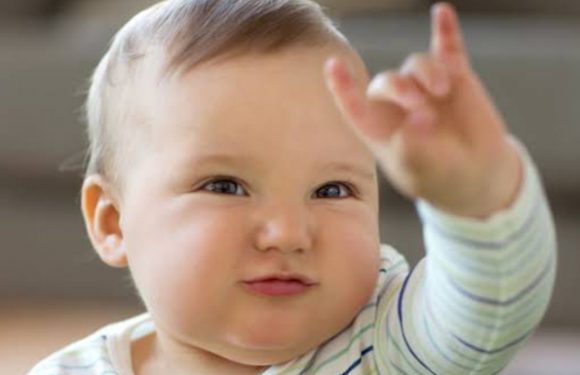Know Your Baby Sign Language