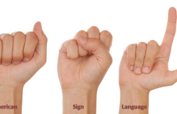 The detailed understanding of the American Sign Language