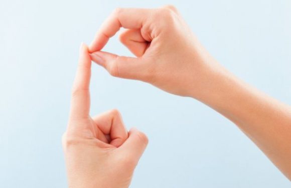 The complete guide for starting the career in sign language