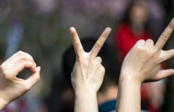 Chinese sign languages and their online presence