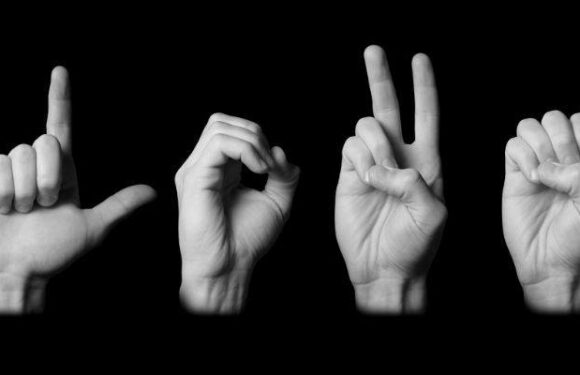 A Quick Look At The Types of Sign Languages